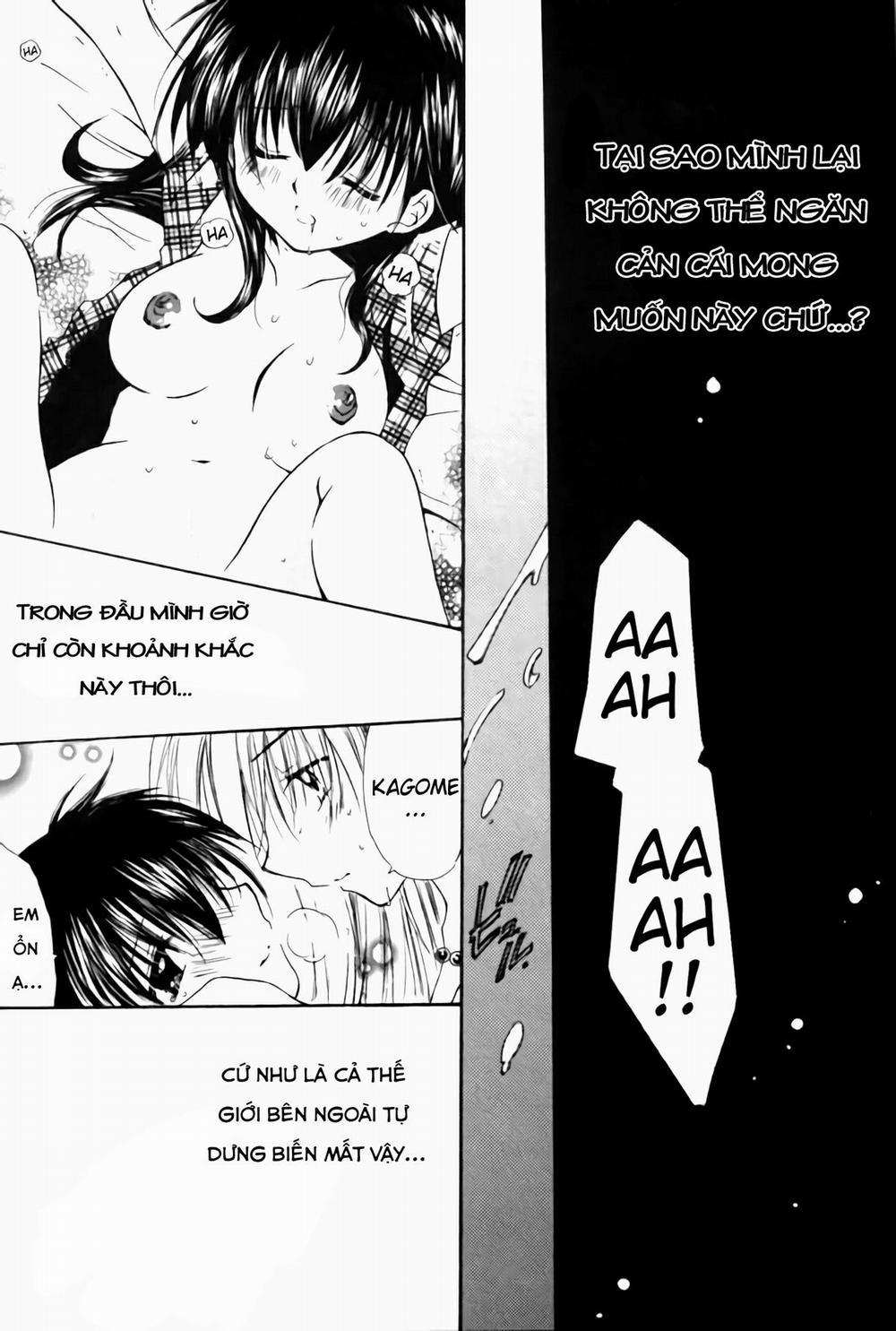 Cỏ ba lá (Inuyasha) Chương Oneshot Trang 13